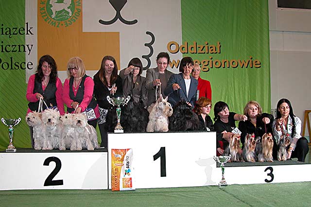 Klubowa wystawa terrierów 2009 - NAJLEPSZA HODOWLA 