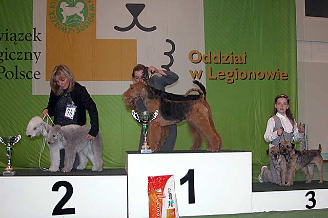 Klubowa wystawa terrierów 2009 - NAJLEPSZA PARA HODOWLANA  