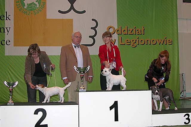 Klubowa wystawa terrierów 2009 - BIS BABY  