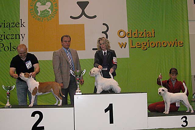 Klubowa wystawa terrierów 2009 - BIS SZCZENIĄT 