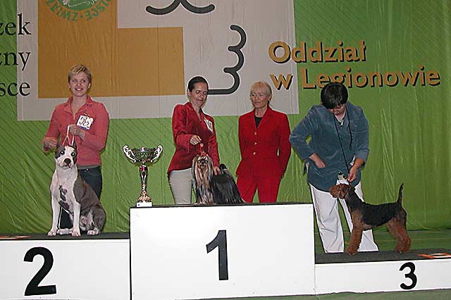 Klubowa wystawa terrierów 2009 - BIS JUNIORÓW 