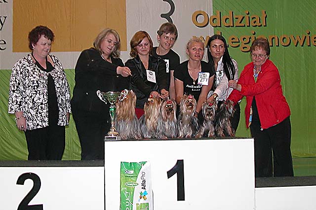 Klubowa wystawa terrierów 2009 - NAJLEPSZY REPRODUKTOR  