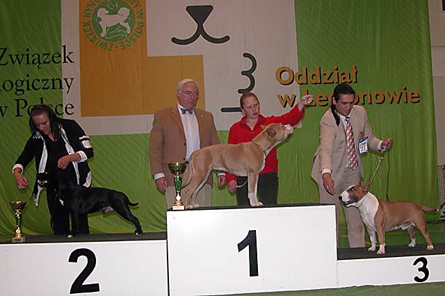 Klubowa wystawa terrierów 2009 - BIS TERIERÓW TYPU BULL