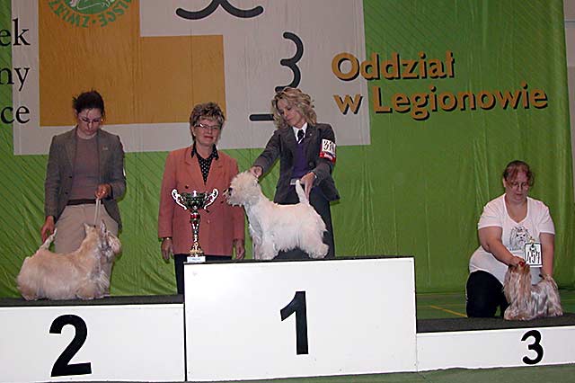 Klubowa wystawa terrierów 2009 - BIS WETERANÓW 